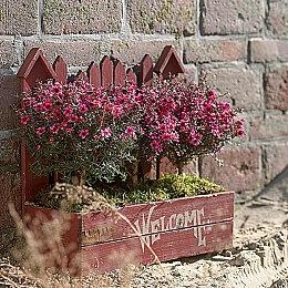 Fami通新作评分：《超自然车旅》《幻想曲》均获好评